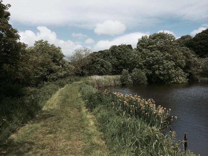 The Dam at the former Clucas Laundry Site
