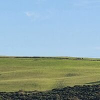Dry weather